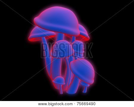 magic mushrooms