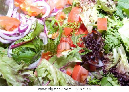 Sallad