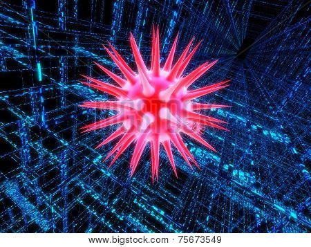 computer virus