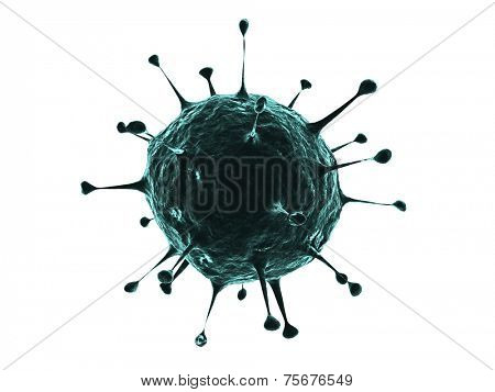 virus