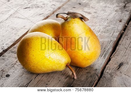 Three Ripe Juicy Yellow Pears