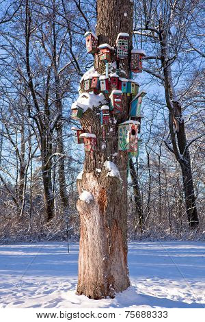 Nesting-boxes On The Tree