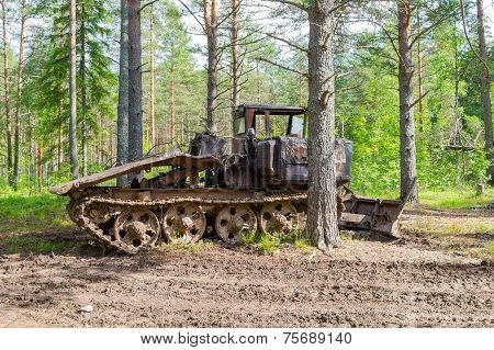 Old Skidder At The Forest In Summertime