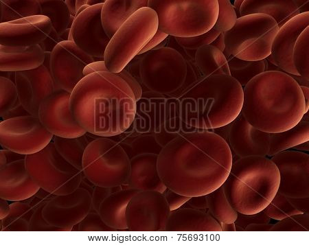 red blood cells