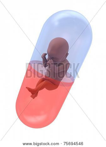 fetus capsule