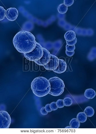 streptococcus