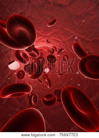 blood stream