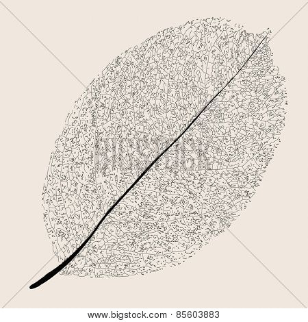 Withered leaf.