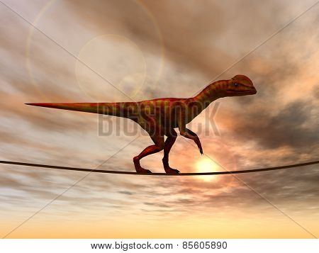 Concept or conceptual abstract business metaphor as wild heavy dinosaurus balancing on rope over sunset sky background
