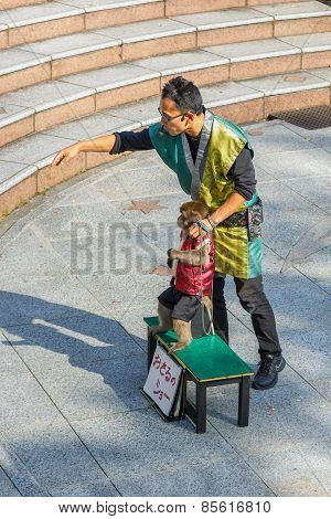 Monkey Show at Kitano District in Kobe Japan