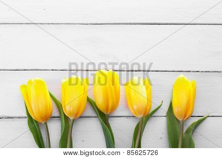 fresh yellow tulips