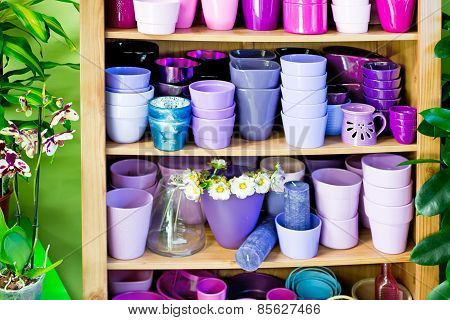 Flowerpots In A Shelf In A Market