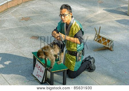 Monkey Show at Kitano District in Kobe Japan