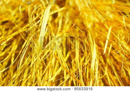 Yellow Dry Grass Background.