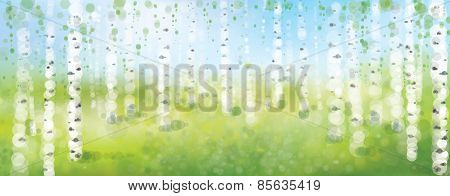 Vector Birch Forest,  Spring Bokeh Background.