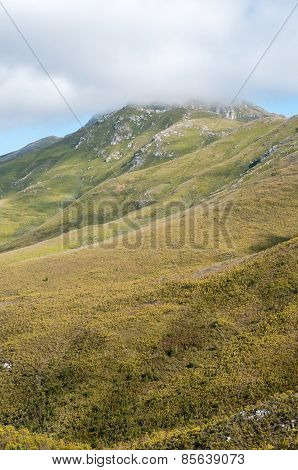 Outeniqua Mountains Between Mosselbay And Oudtshoorn