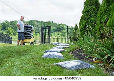 Middle Age Man Mulching His House Backyard