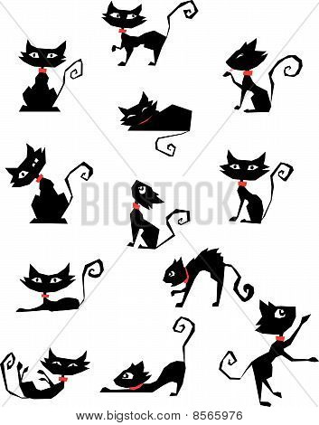 Carino gatto nero