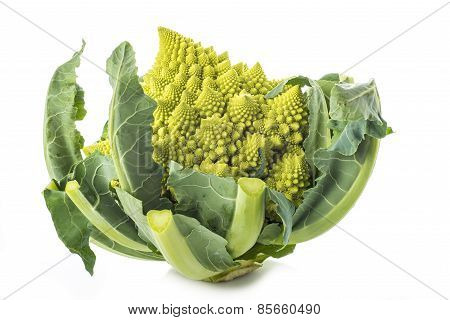 Romanesco Broccoli Vegetable Isolated On White Background