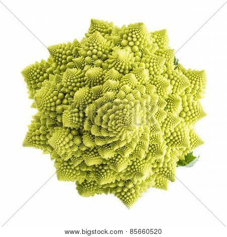 Romanesco Broccoli Vegetable Isolated On White Background