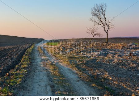 Sandy Rural Road And Plowed Fields