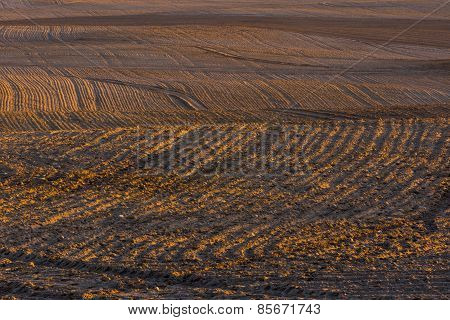 Plowed Field Landscape