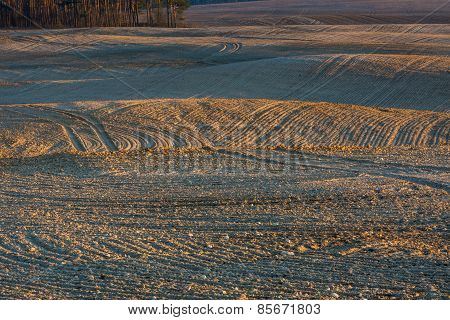 Plowed Field Landscape