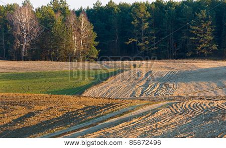 Plowed Field Landscape