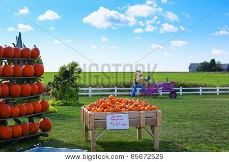 Autumn colors at a New York farm