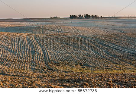 Plowed Field Landscape