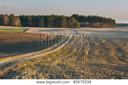 Plowed Field Landscape