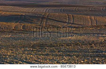 Plowed Field Landscape