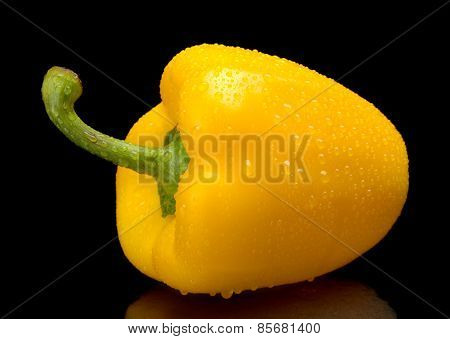 Studio Shot Of Yellow Bell Pepper Isolated On Black With Water D