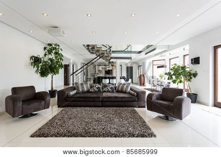 Modern Front Room