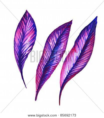 vector tropical leaves