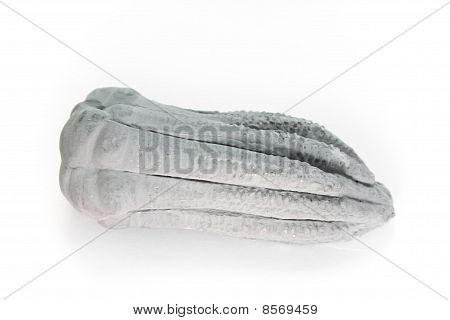 Encrinuurus