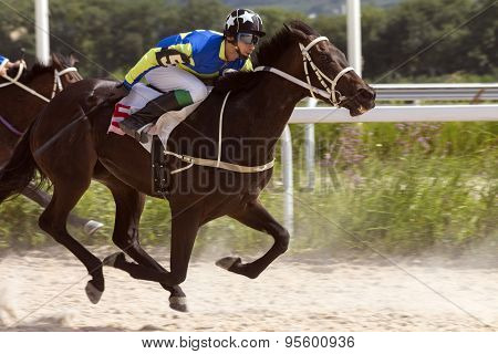Horse Racing