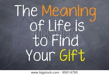 The Meaning of Life
