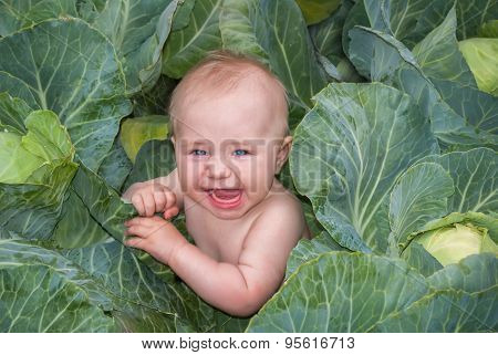 Happy Beautiful Baby In Green Cabbage Leaves, The Traditional Story About Where Newborn Babies Come
