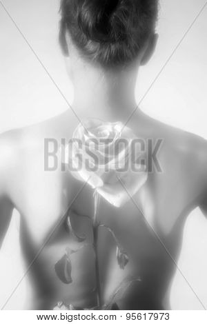 Soft Image Of Pretty Young Woman Holding A Rose Behind Her Back. Soft Focus On Flower. B&w.