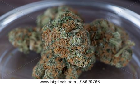 Blueberry Headband Hybrid Medical Marijuana