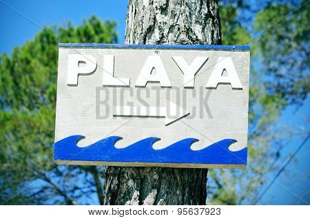 closeup of a wooden sign attached to a pine tree with the text playa, beach written in spanish, in Ibiza Island, Spain
