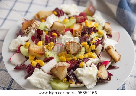 Mixed Summer Salad on a plate