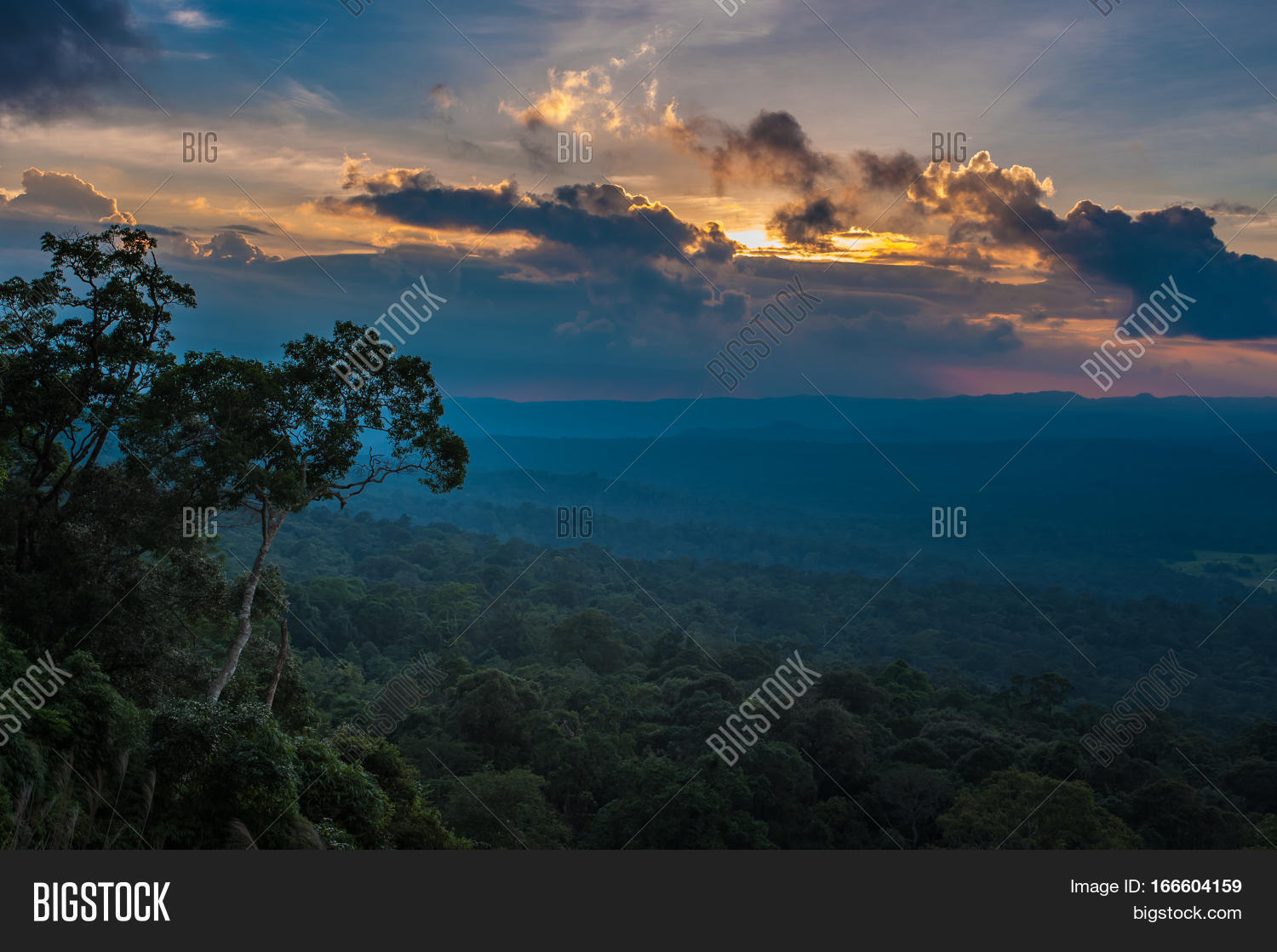 Image Preview