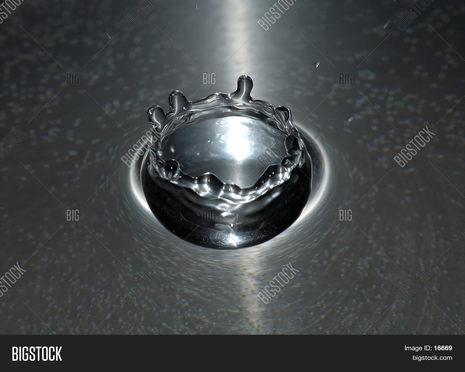 Image Preview