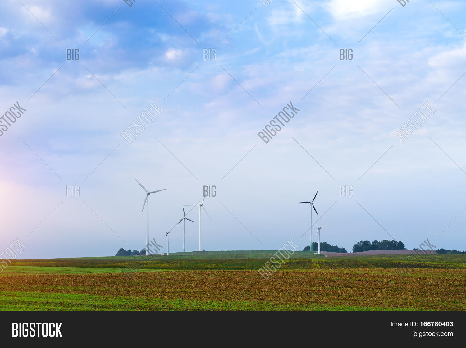 Image Preview