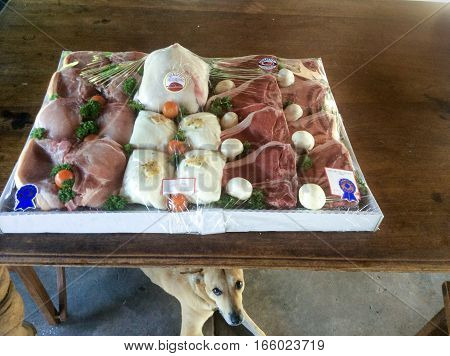 An Australian Dingo Dog hovering near a tray of meat