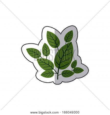 dotted sticker green leaves with ramifications vector illustration
