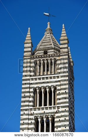 Detail of the bell tower of the Siena Cathedral (Santa Maria Assunta) 1220-1370. Toscana (Tuscany) Italy Europe