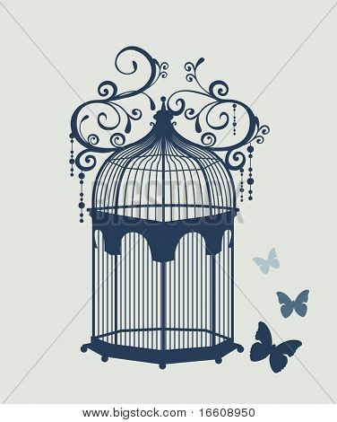 farfalla e bella birdcage vintage